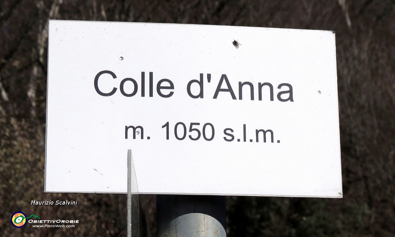 42 L'ultimo colletto....JPG